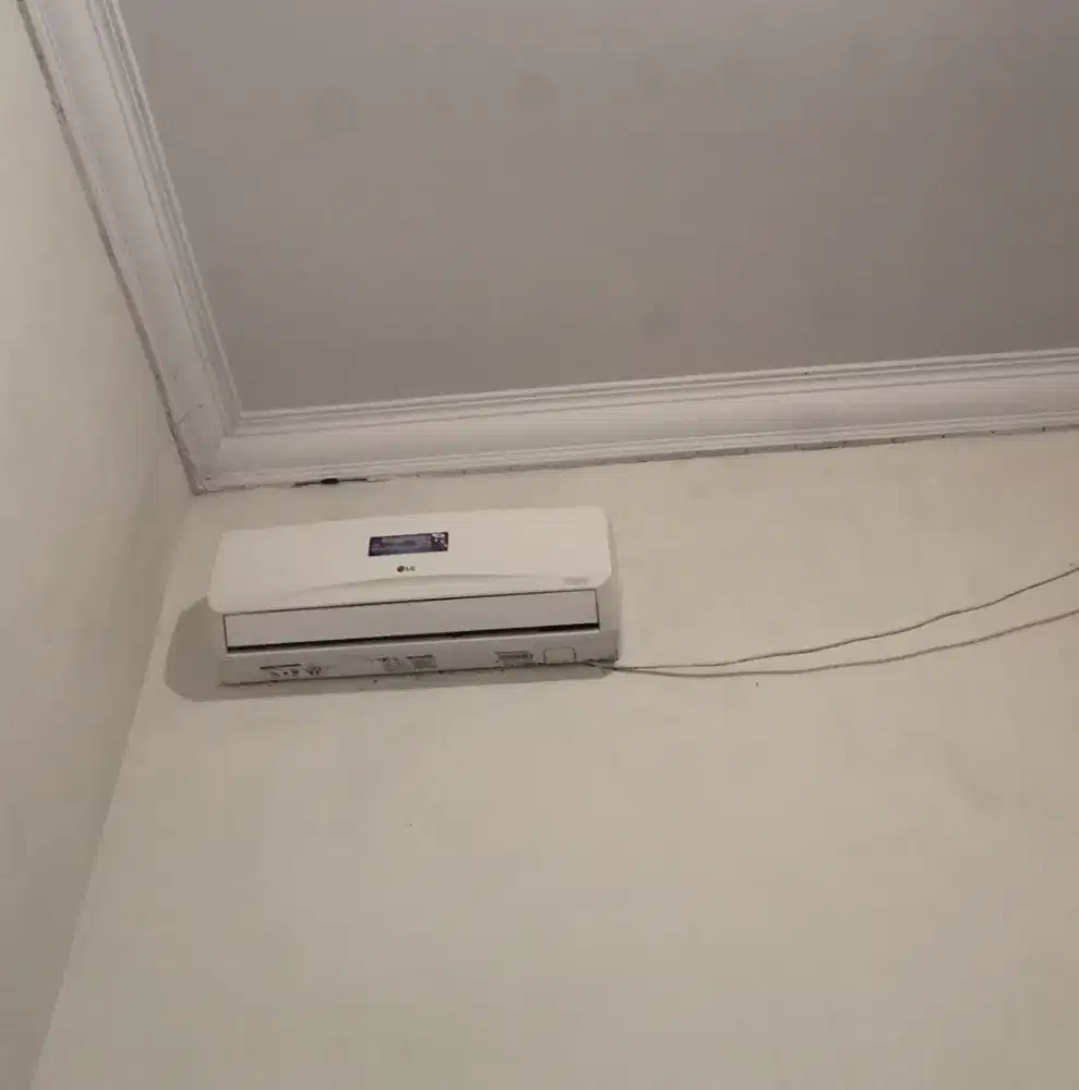AC LG 0.5 PK 1/2 PK