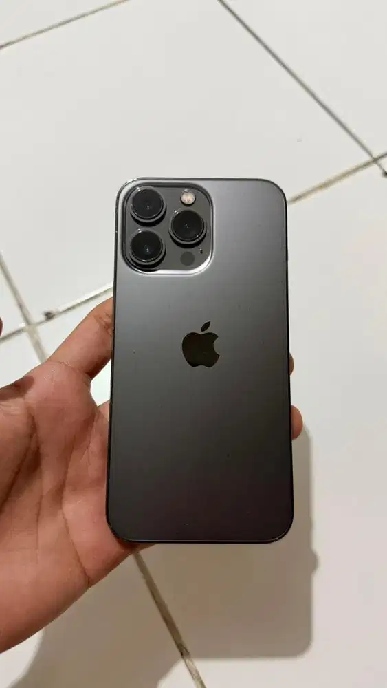 iPhone 13 Pro 256GB (Beacukai)