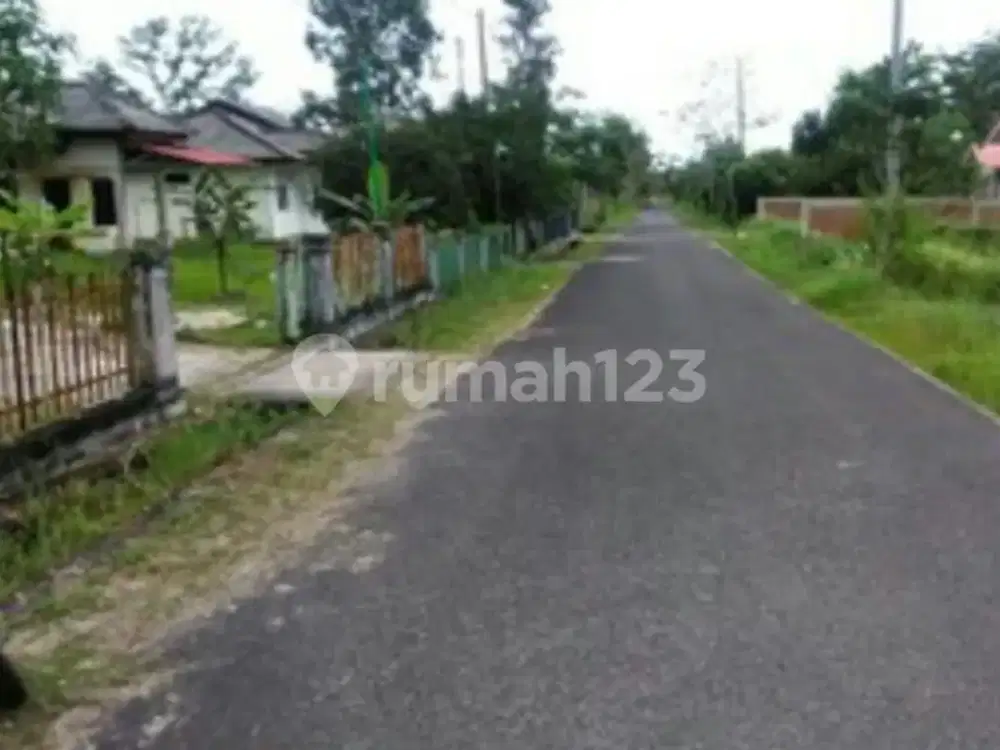 Tanah produktif di Manggar Belitung Bangka Belitung