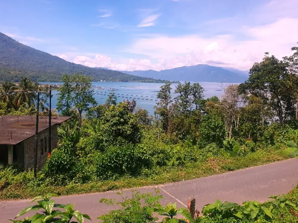 TANAH DI SISI JALAN UTAMA VIEW DANAU RANAU, JALAN PENGHUBUNG KAB.OKU SELATAN DENGAN KAB.LAMPUNG BARAT.