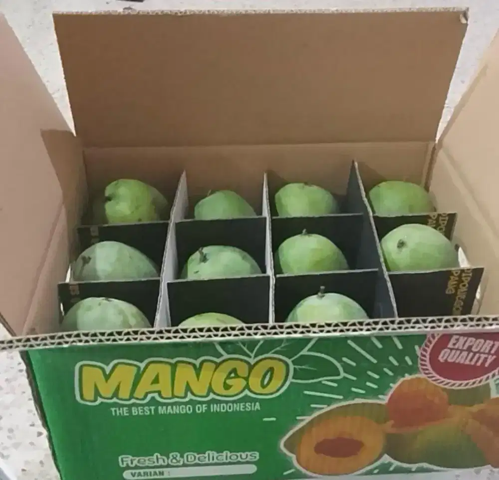 Mango Alpukat Klonal