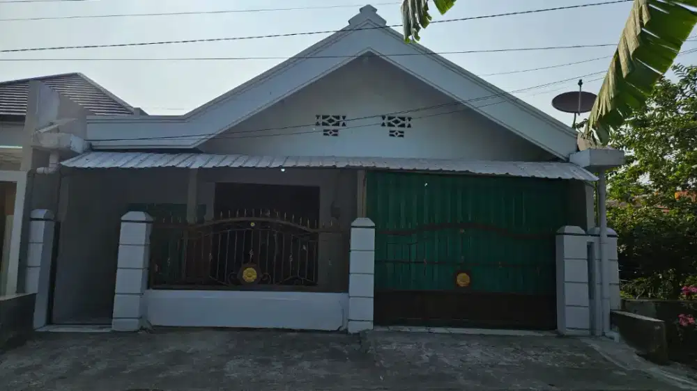 Di Sewakan Rumah