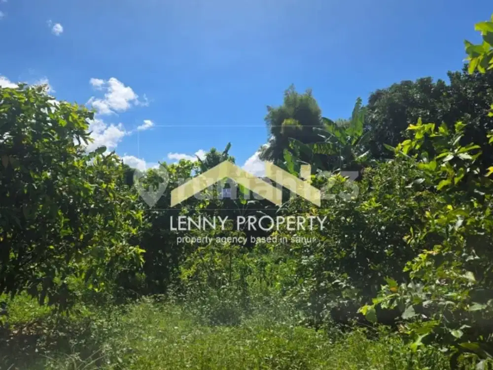 475 M2 Vacant Land For Lease In Westside Sanur