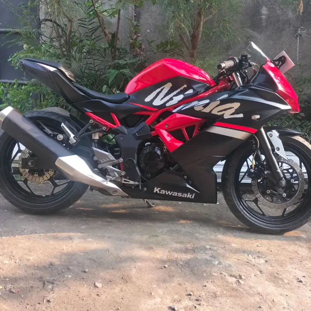 Ninja 250cc mono fi 2019