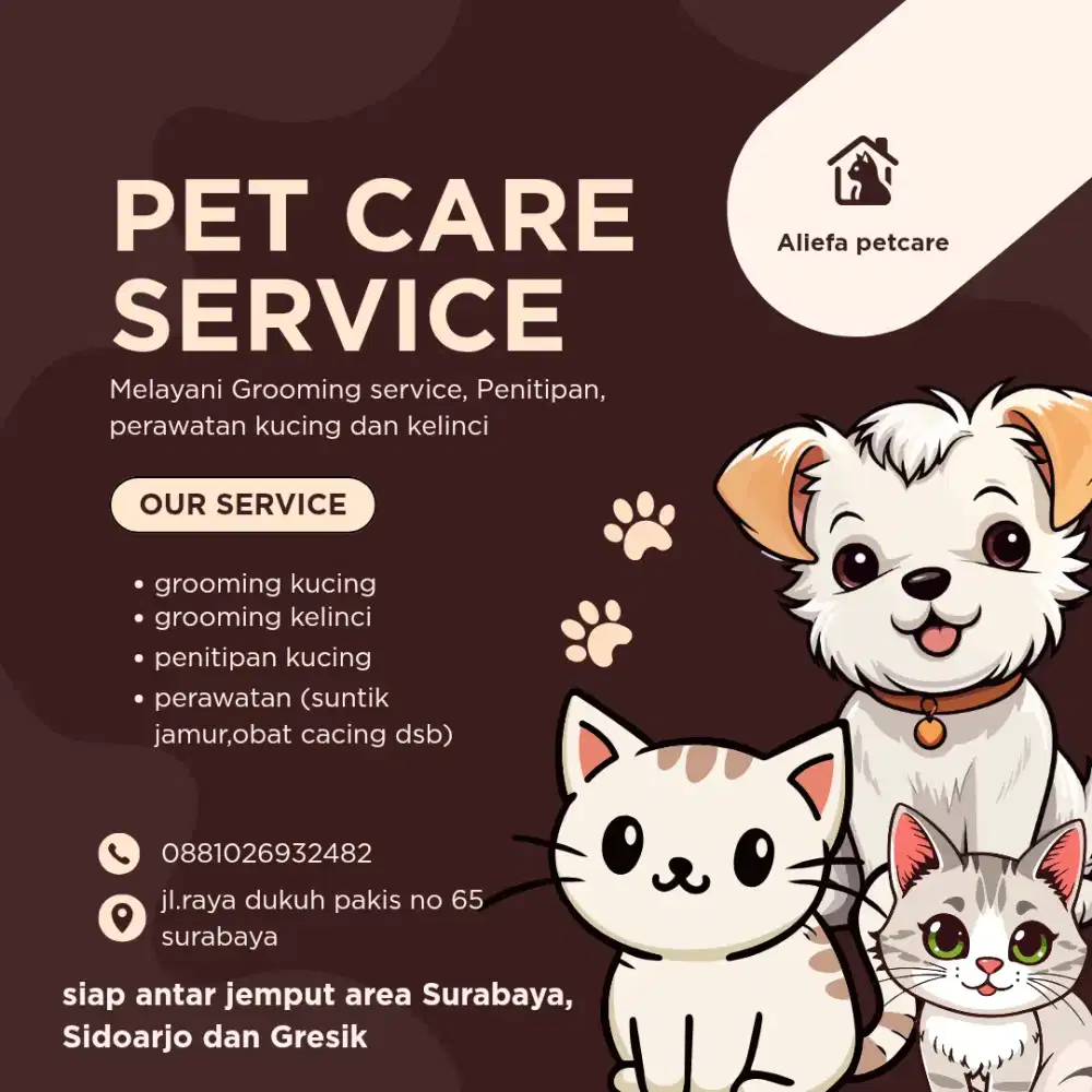 Grooming kucing dan kelinci(melayani Grooming panggilan) Surabaya