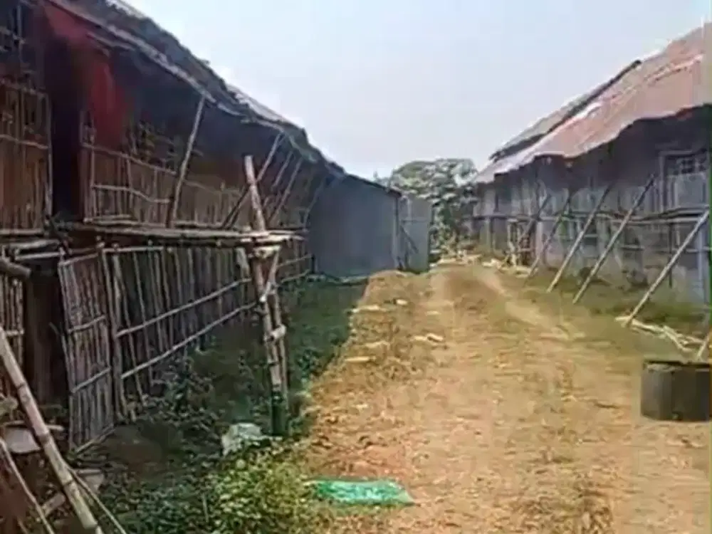 Dijual kandang peternakan ayam aktif murah di Jombang