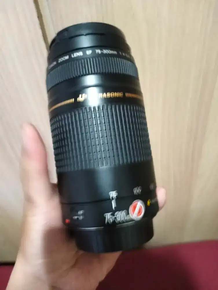 LENSA CANON EF 75-300MM NORMAL