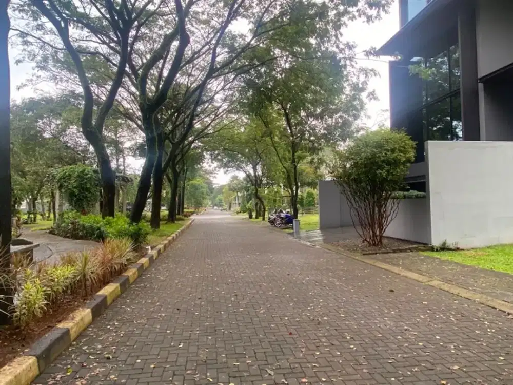 FOR SALE Kavling Cajuputi Depan Taman Panjang