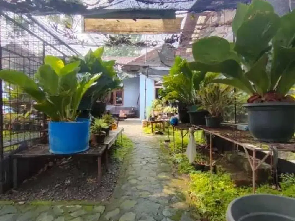 Dijual Tanah Luas Di Jatiraden Dekat Labschool Cibubur Jawa Barat