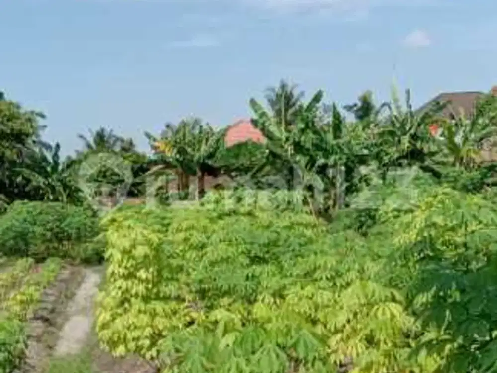 Tanah Tepi Jalan Kawasan Harapan Raya