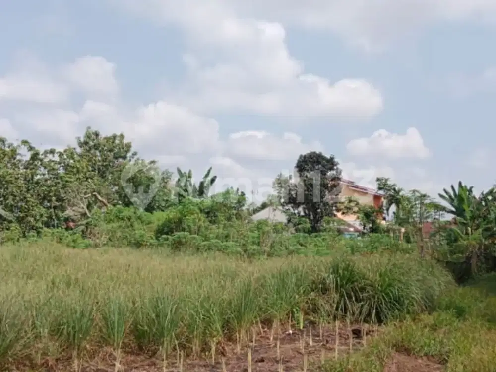 Tanah Murah Dekat Sma plus