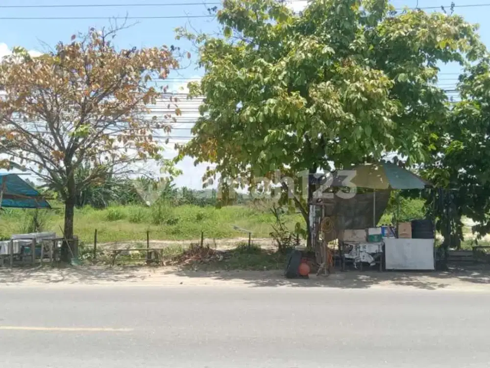 Dijual Tanah Tepi Jalan Aspal Dekat Garuda Sakti