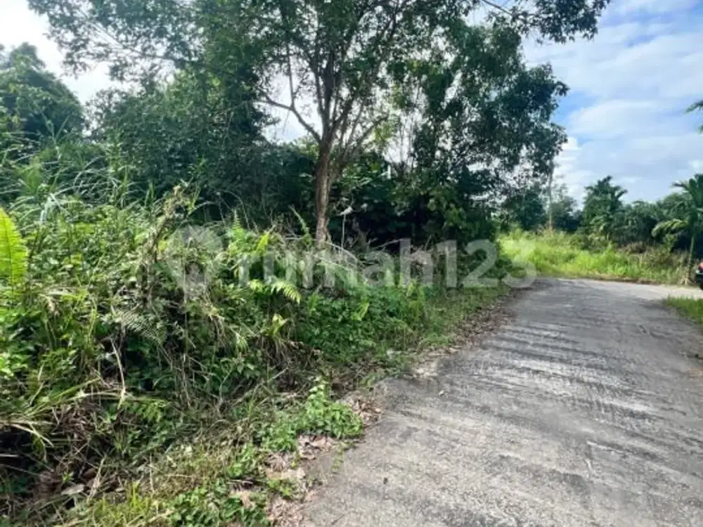 Dijual Cepat Tanah Dekat Universitas Awal Bross