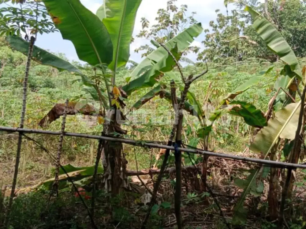 Dijual Tanah Lokasi Strategis Deket SMU Plus Kubang