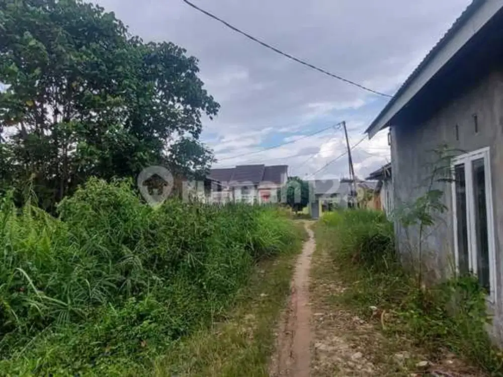 Dijual murah tanah dekat kampus uin