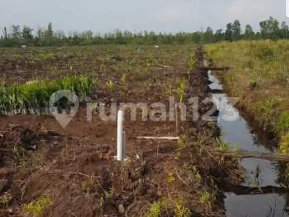 Dijual Tanah Dekat Rimbo Panjang