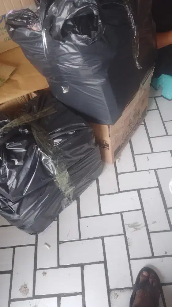 Jasa bantu bawain barang orang belanja
