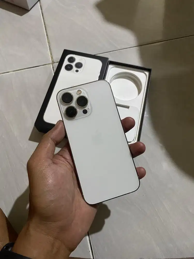 13 Pro 256 Ibox