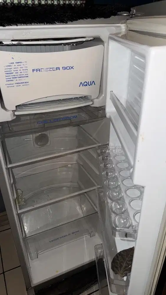 Kulkas Aqua 1 pintu