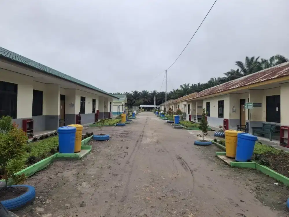 Lowongan Perkebunan Kelapa Sawit Kalimantan