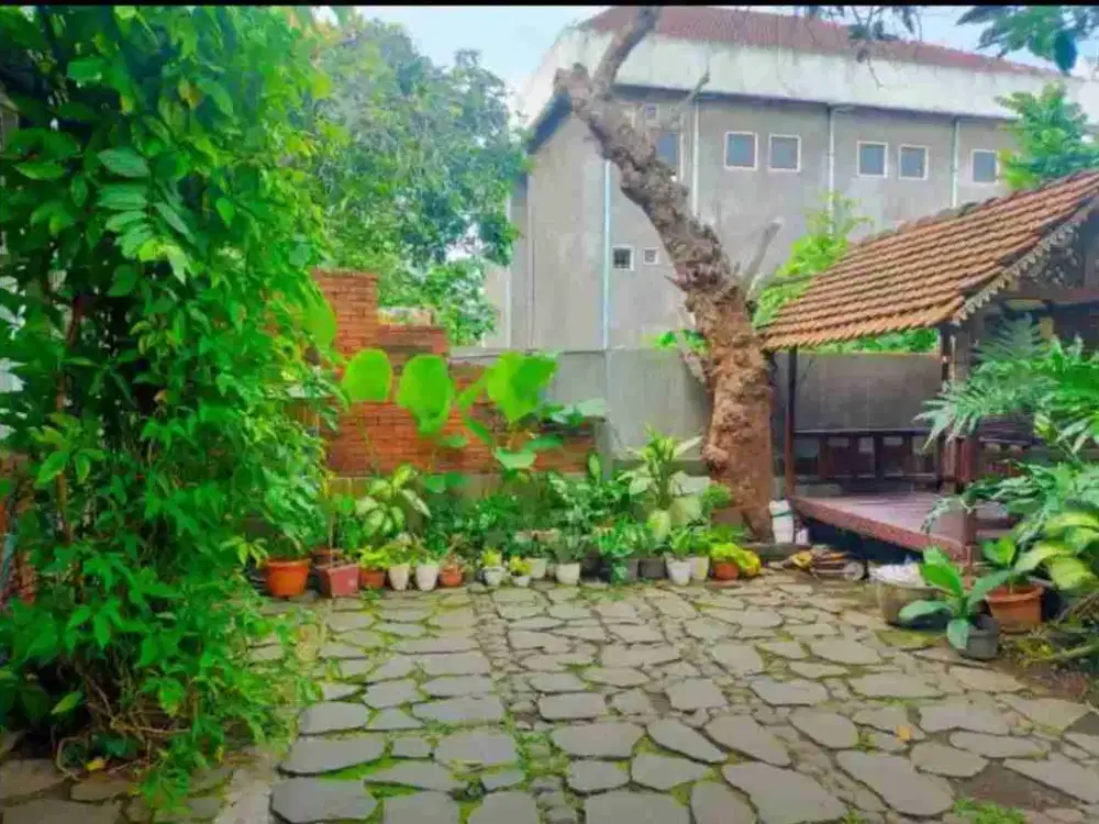 RUMAH ASRI TENGAH KOTA DI JL MUGAS BARAT MUGASSARI SEMARANG SELATAN
