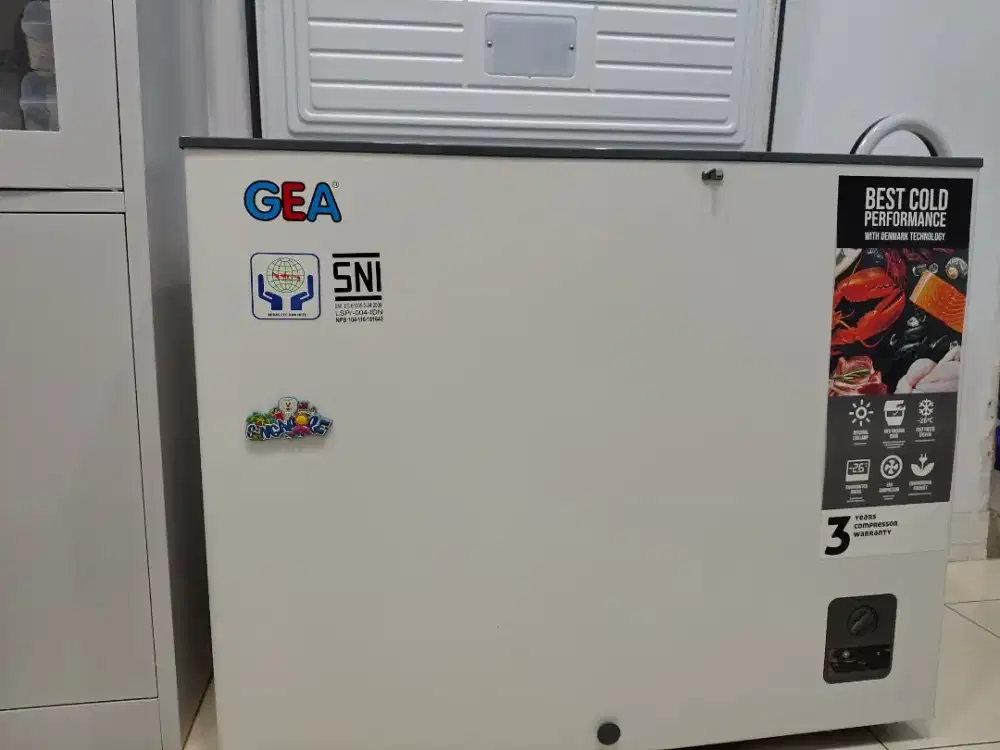 Freezer box gea 220 liter