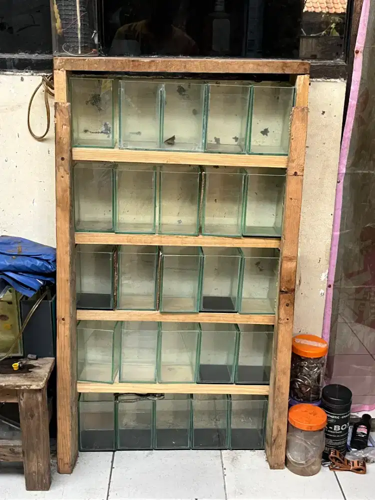 Aquarium soliter ikan cupang ama rak