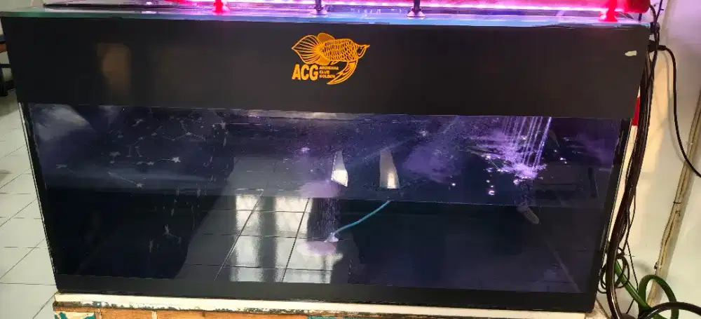 Aquarium Bekas Arwana