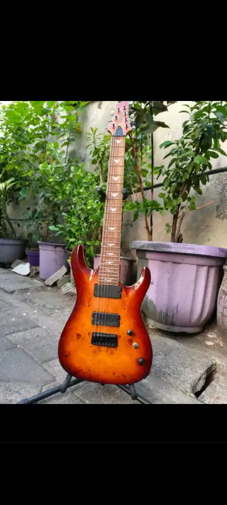 Gitar schecter 7strings