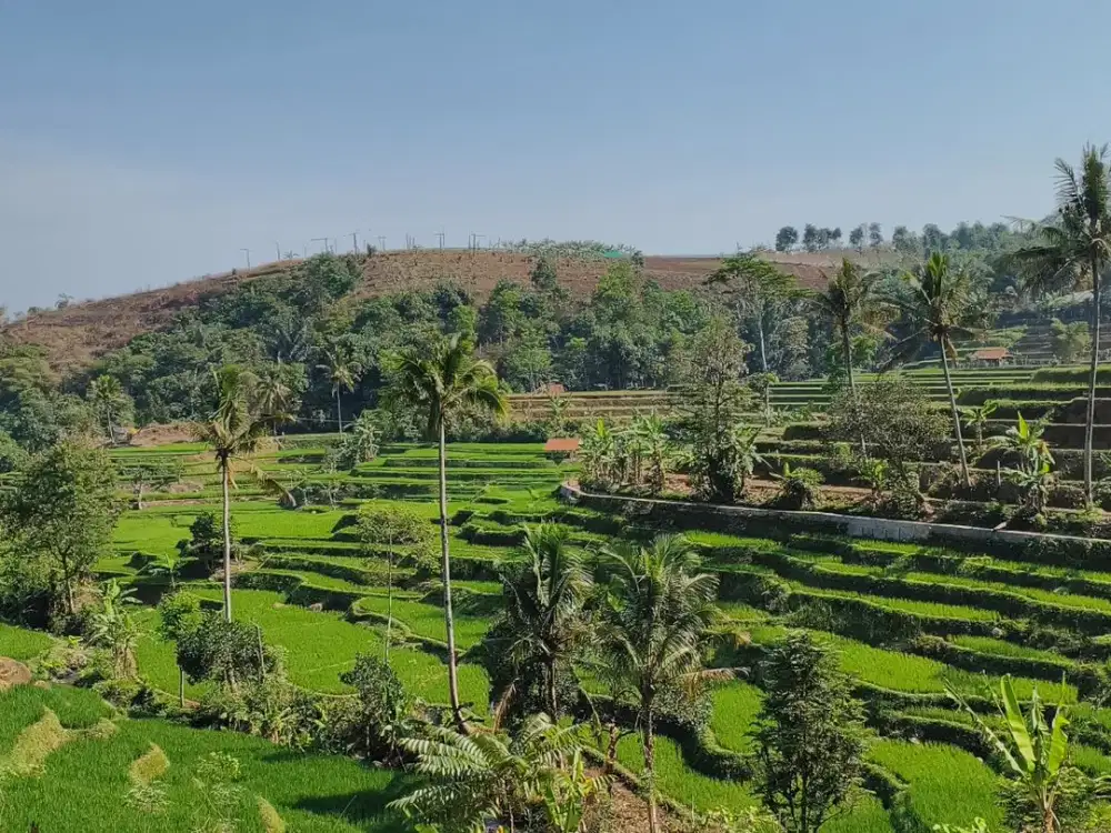 Tanah Kebun View Gunung Burangrang & Terasering Sawah di Darangdan Purwakarta