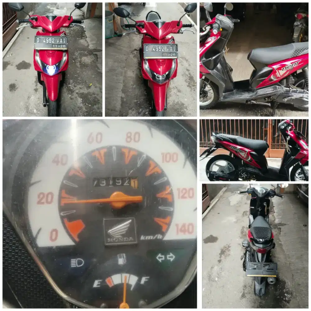 Beat karbu merah