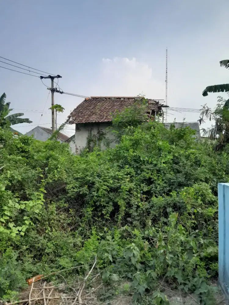Dijual Tanah Kosong