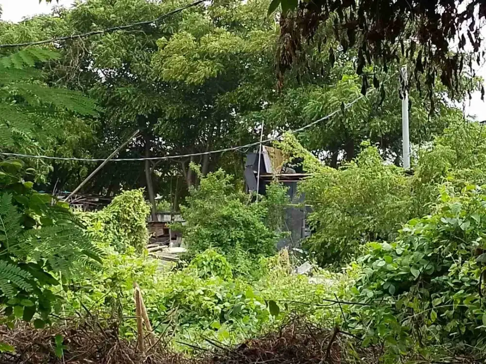 TANAH DIJUAL DI TELUK PUCUNG BEKASI DUA JUTA PER METER
