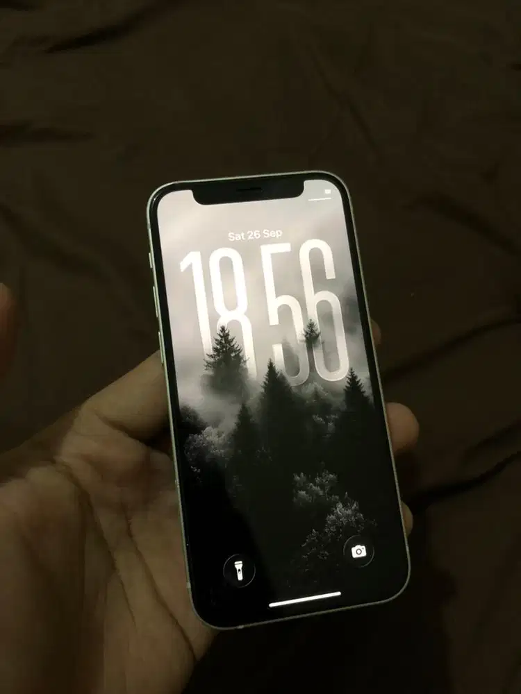 iPhone 12 mini 256 GB