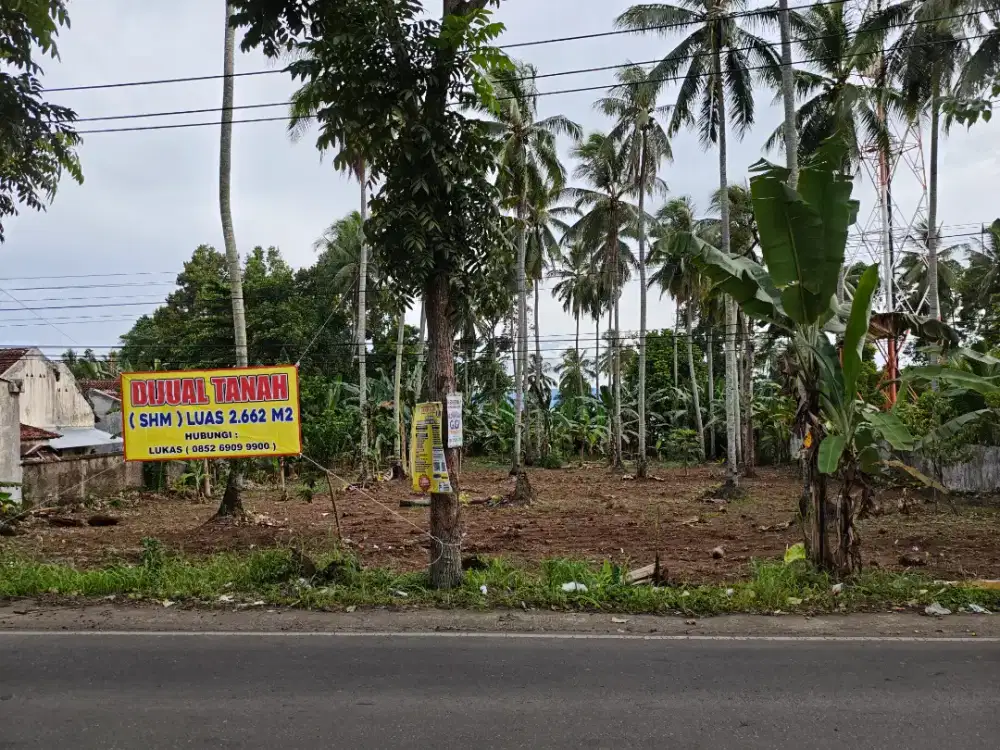 VIEW LAUT TERBAYA PINGGIR JALAN PROVINSI