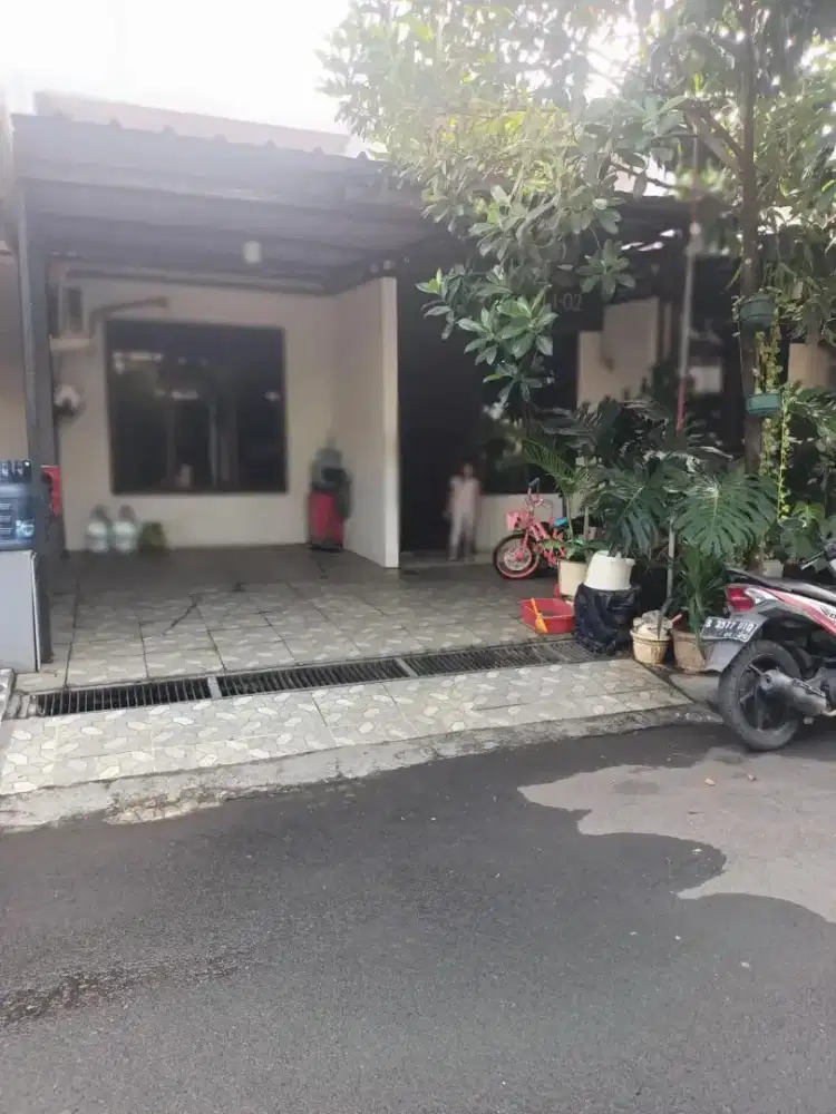 Di Sewakan Rumah