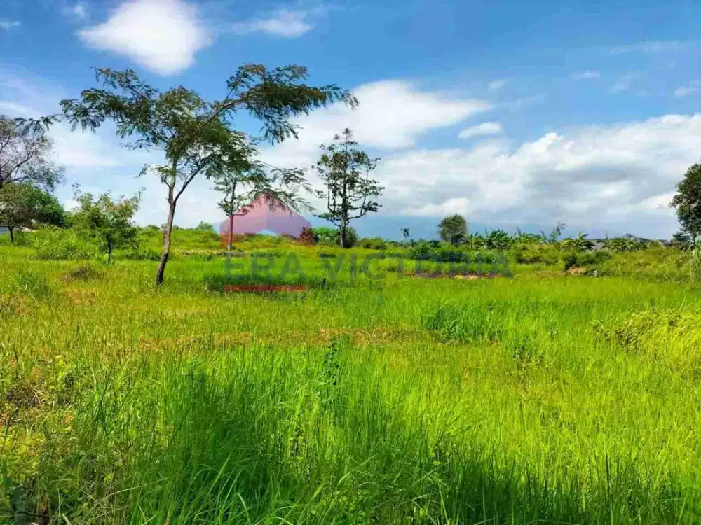 Tanah luas dijual di poros jalan raya kebun raya purwodadi pasuruan