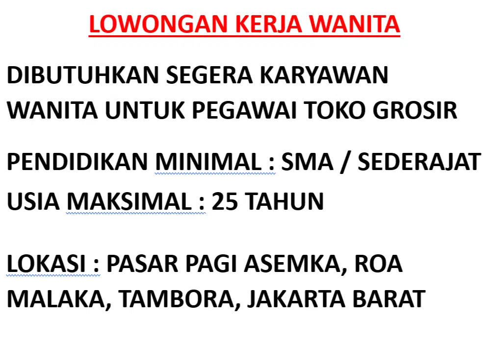 LOWONGAN KERJA UNTUK WANITA SEBAGAI PEGAWAI TOKO GROSIR PASAR PAGI