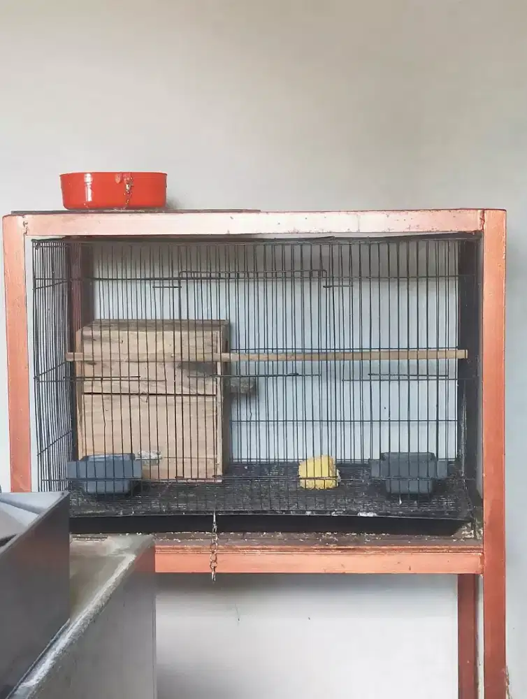 Kandang kotak ternak Lovebird+ glodok
