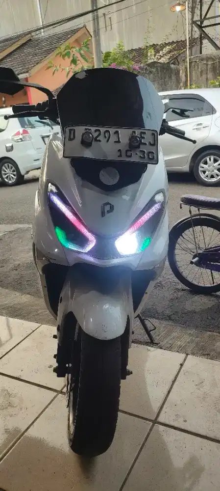 POLYTRON FOX R MODIF PERLAMPUAN