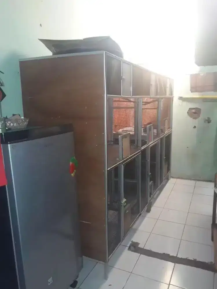 Kandang ternak murai batu