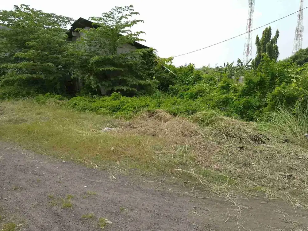 termurah tanah di teluk pucung bekasi utara