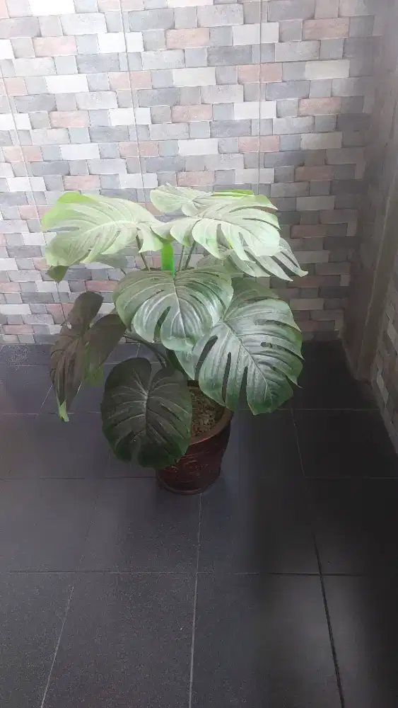 Dijual pot bungga plastik