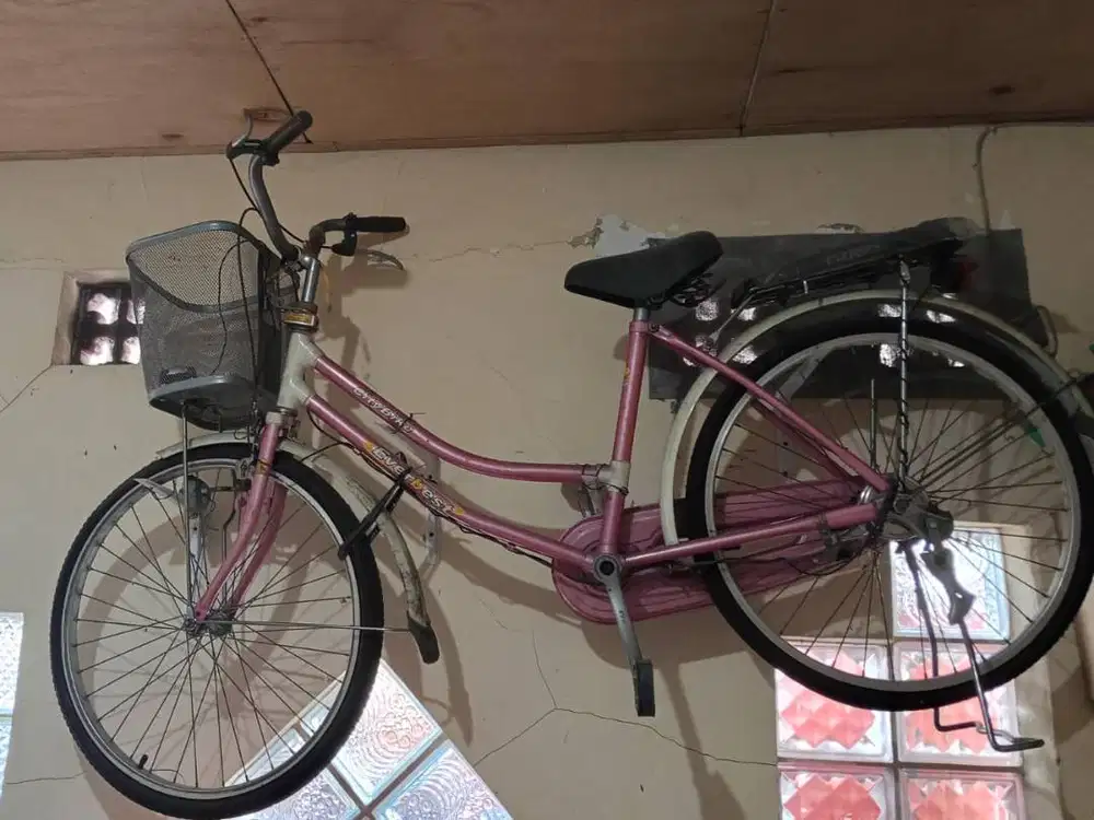 sepedah mini Perempuan