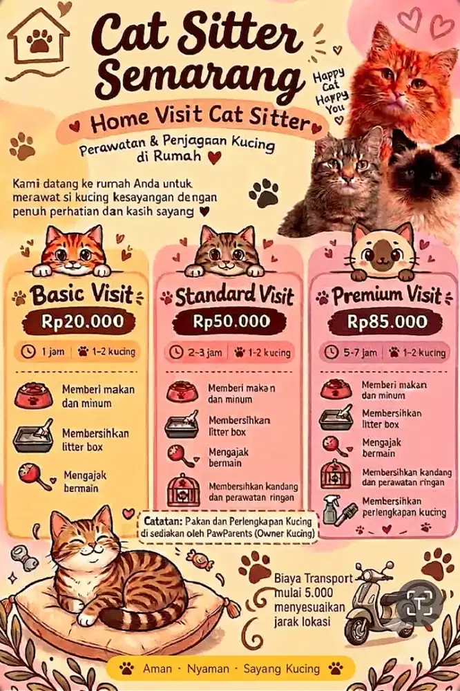 Cat Sitter Semarang