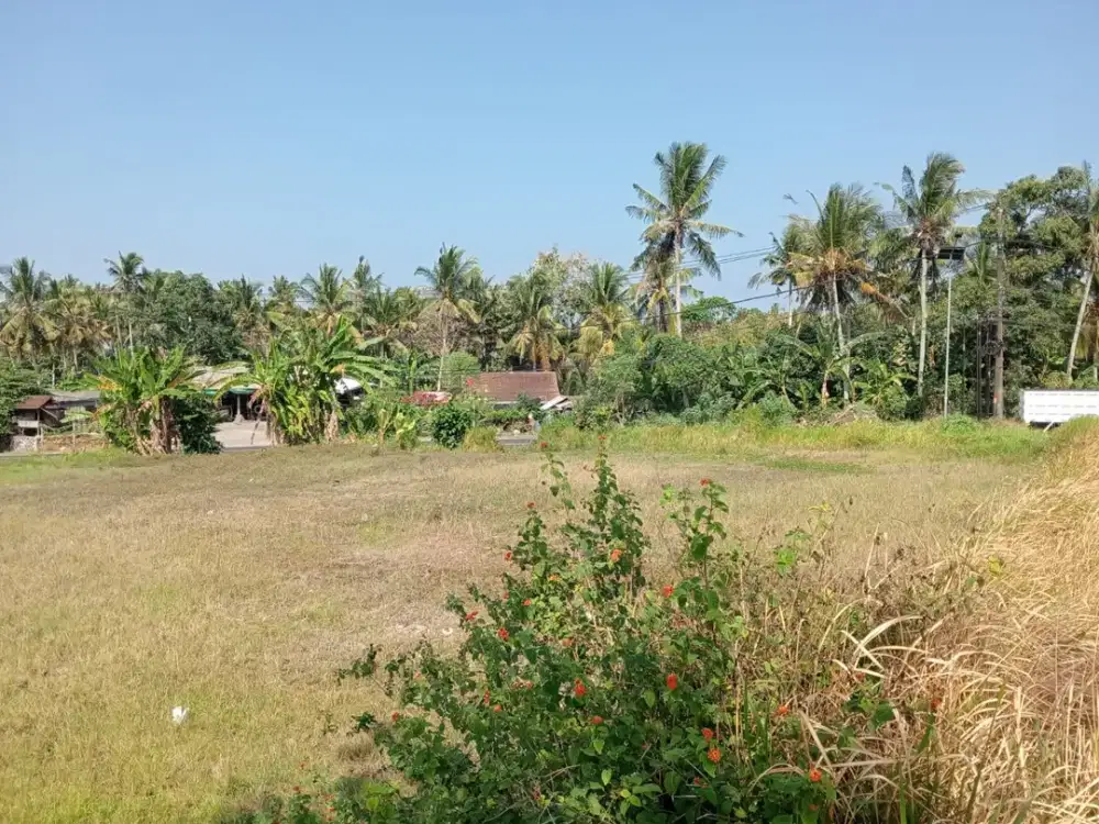 Dijual Tanah Strategis di Pinggir Jalan Utama Dps - Gilimanuk