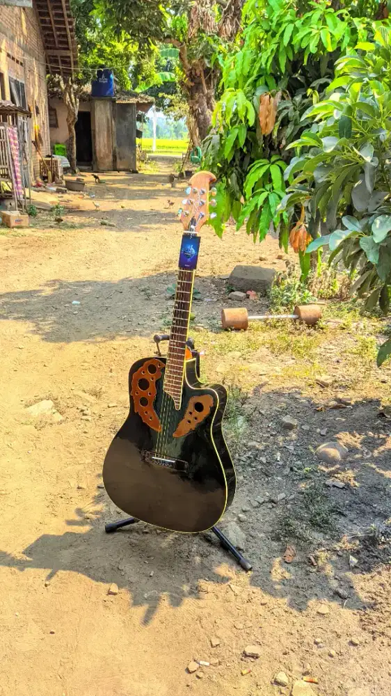 Gitar Akustik Disc Hollow Original High Quality Baru