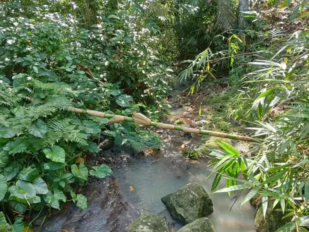 Dijual Tanah Kebun Murah dengan View yang Adem dan Asri