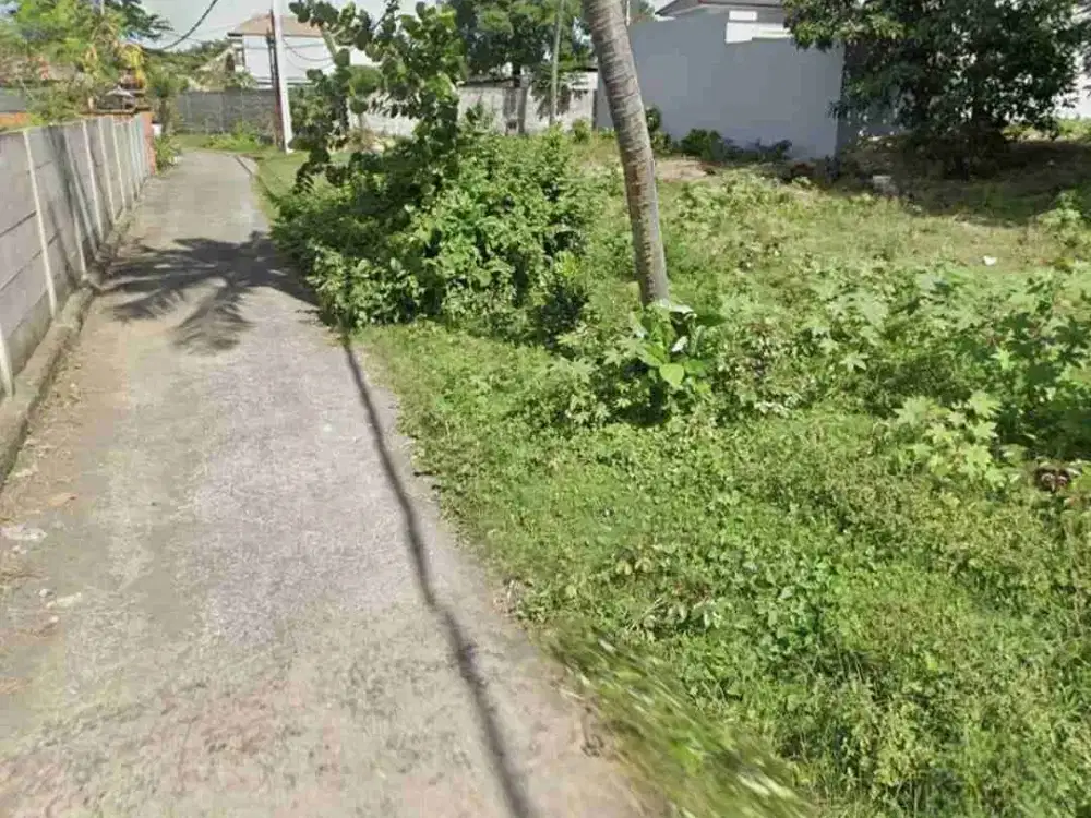 Tanah Pantai Cucukan Gianyar Bali Dekat Bali Safari