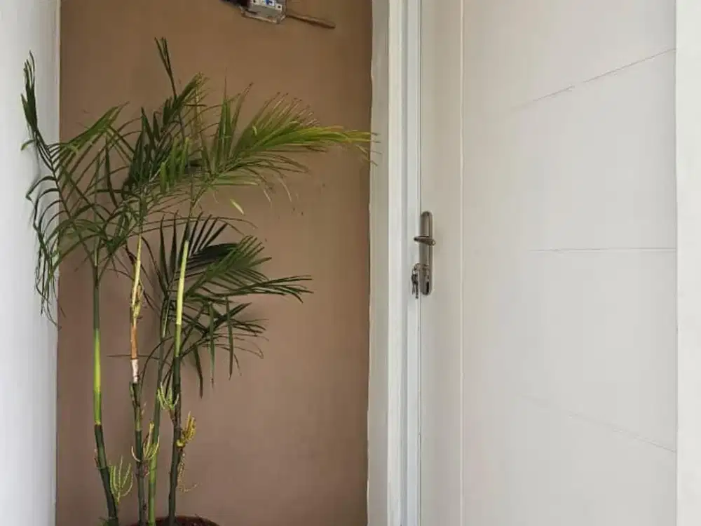 Rumah Kontrakan premiun Full Furnish Dijual nego sampai deal